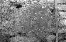 38.jpg (1128021 byte)