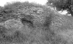 61.jpg (1147806 byte)